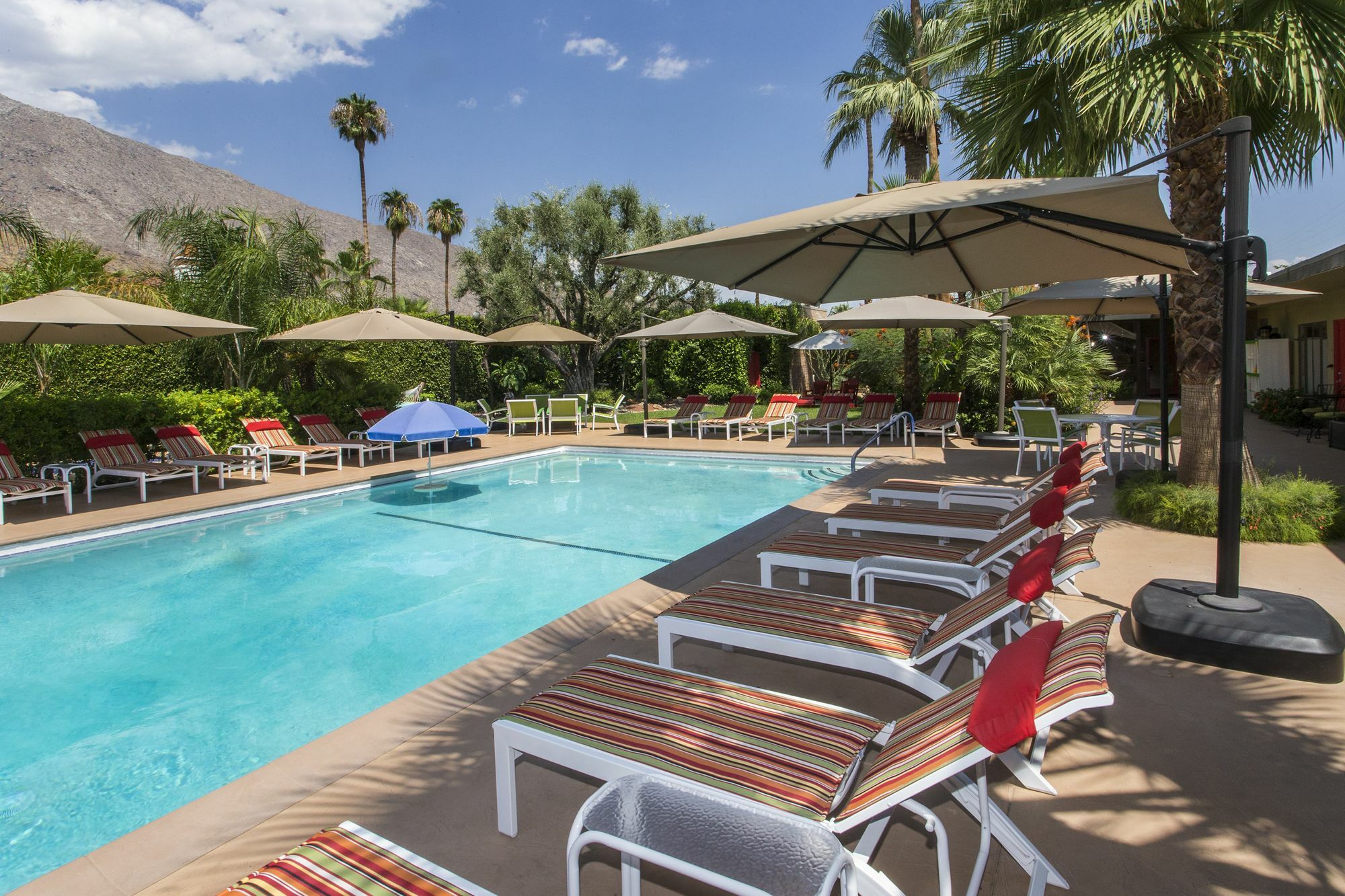 Desert Riviera Hotel 3*